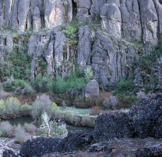 Idaho, Bruneau River